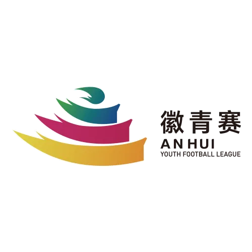 安徽省青少年足球联赛 宿州VS亳州20261004