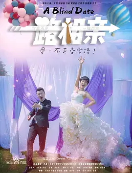 《一路相亲》全集高清完整版在线观看与剧情解析