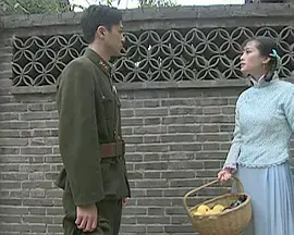 《侬本痴情》全集高清完整版在线观看与剧情解析