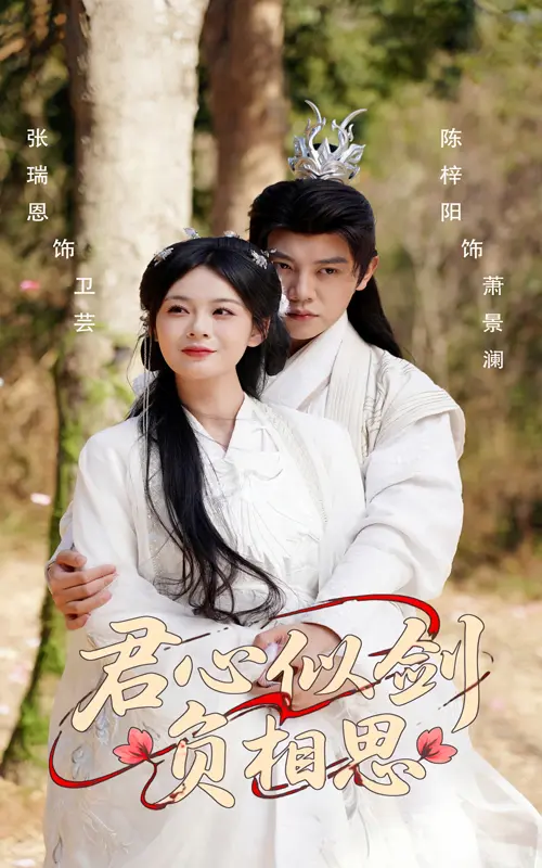 《君心似剑负相思》全集高清完整版在线观看与剧情解析