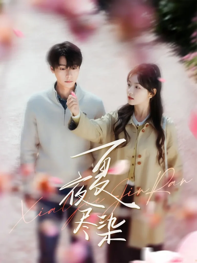 《夏夜尽染》全集高清完整版在线观看与剧情解析