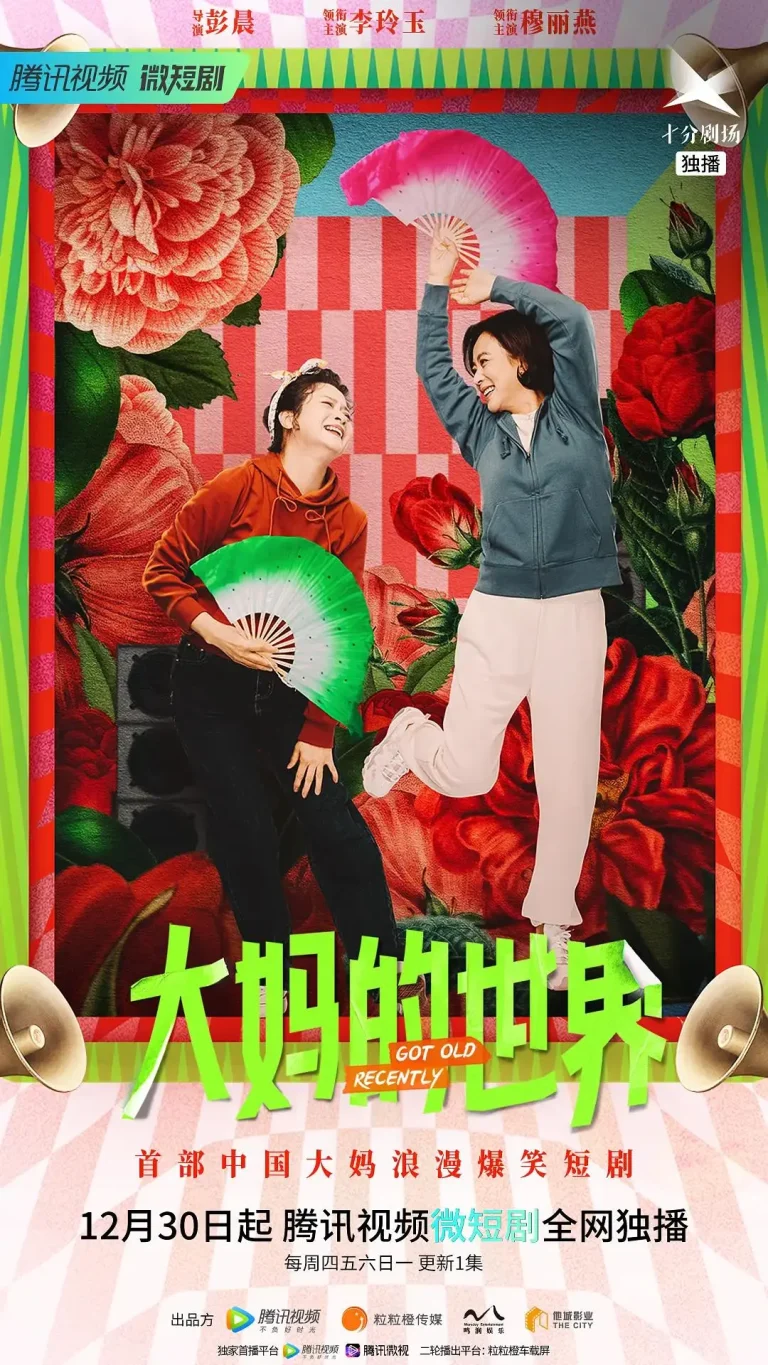 《大妈的世界》全集高清完整版在线观看与剧情解析