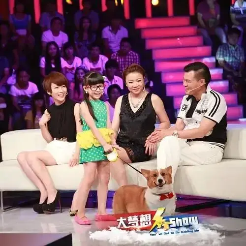 《大梦想秀》全集高清完整版在线观看与剧情解析