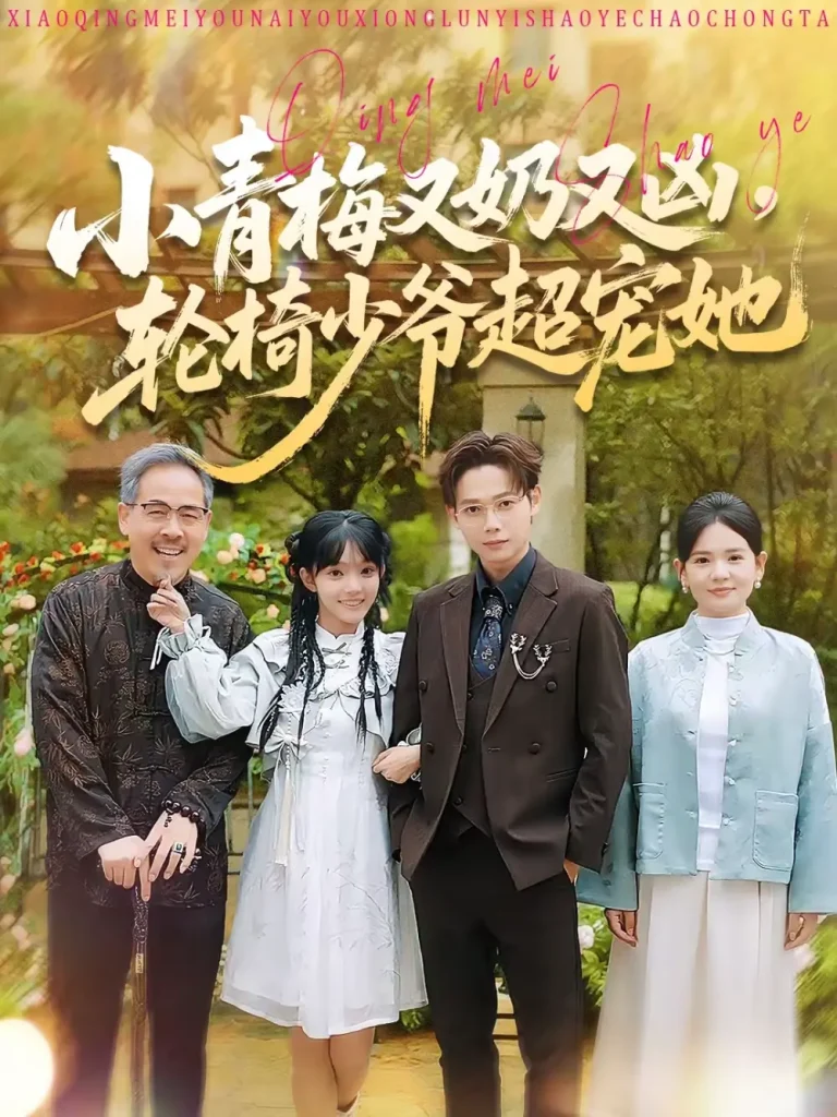 《小青梅又奶又凶，轮椅少爷超宠她》全集高清完整版在线观看与剧情解析