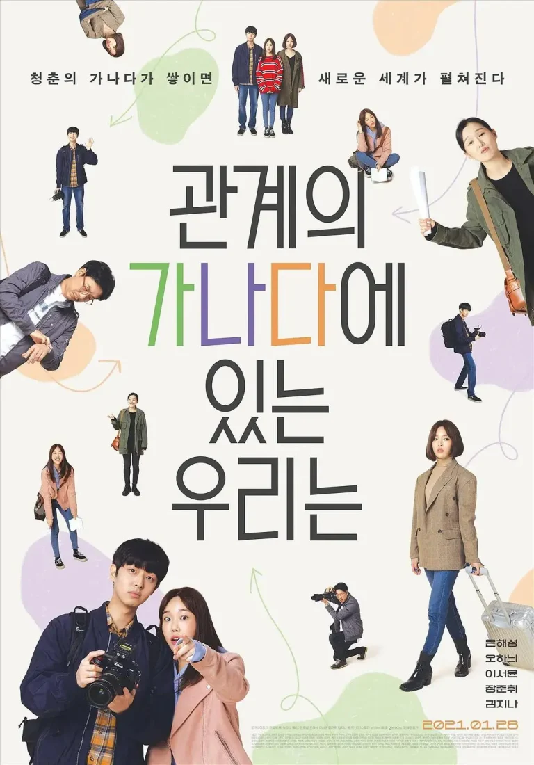 《我们关系的基础知识》全集高清完整版在线观看与剧情解析