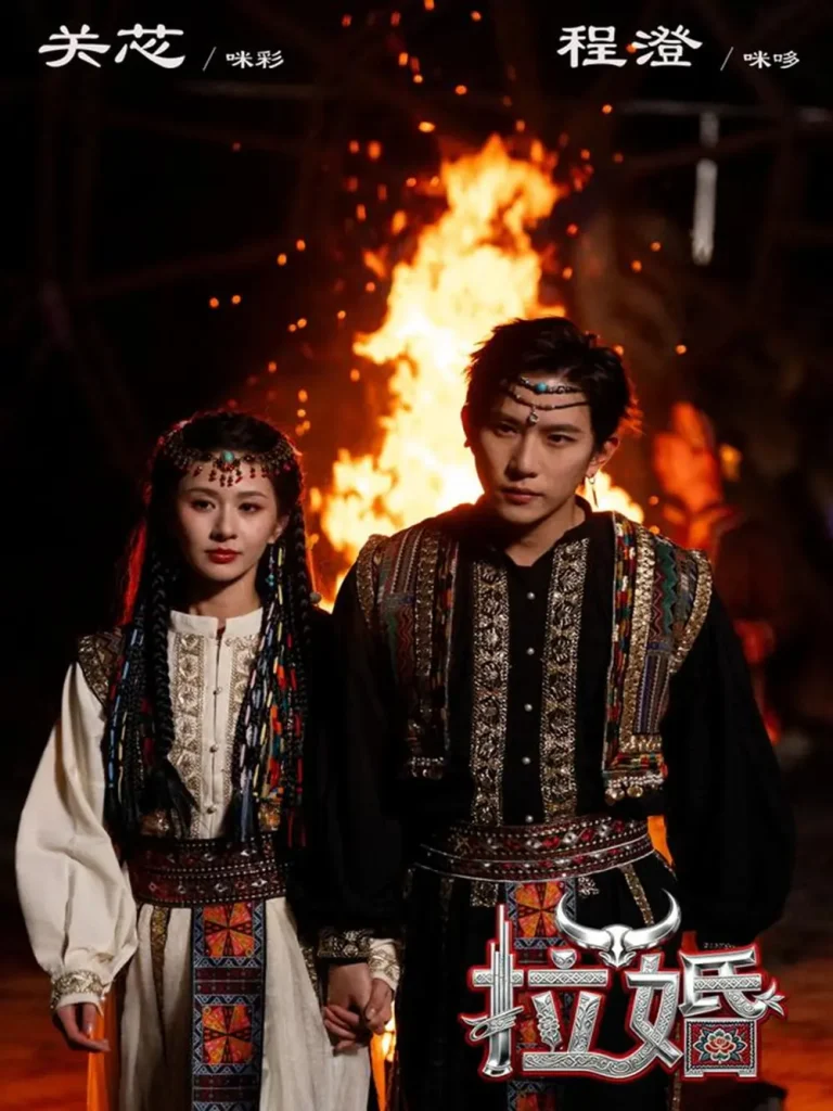 《拉婚》全集高清完整版在线观看与剧情解析