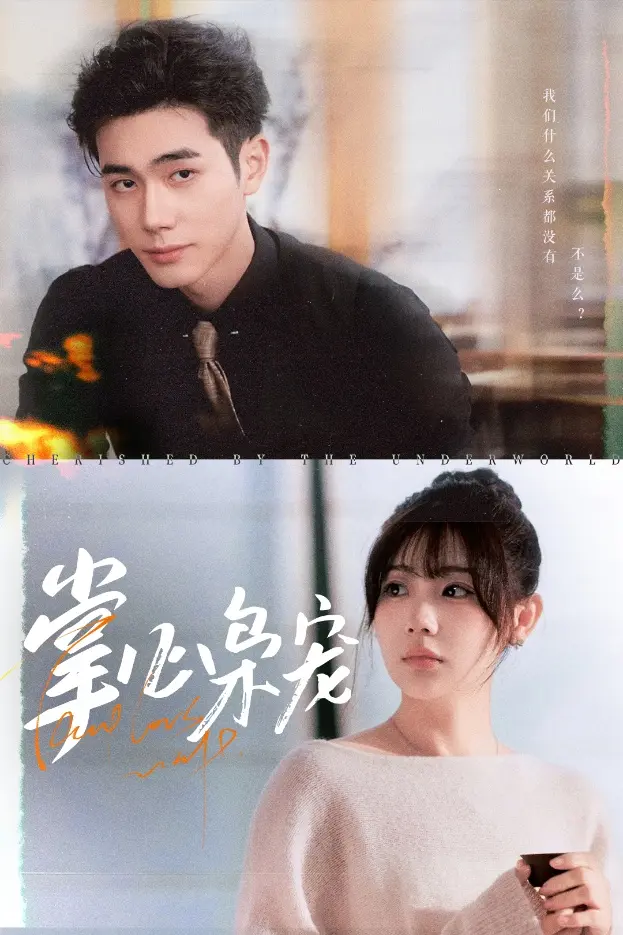 《掌心枭宠》全集高清完整版在线观看与剧情解析