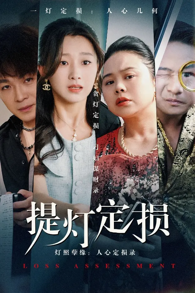 《提灯定损》全集高清完整版在线观看与剧情解析