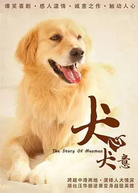 《犬心犬意》全集高清完整版在线观看与剧情解析