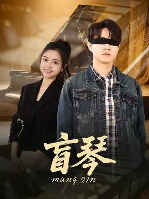 《盲琴》全集高清完整版在线观看与剧情解析