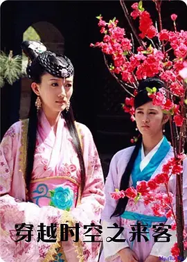 《穿越时空之来客》全集高清完整版在线观看与剧情解析