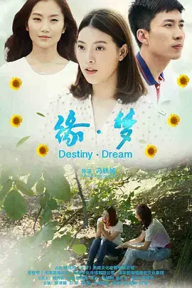 《缘·梦2018》全集高清完整版在线观看与剧情解析