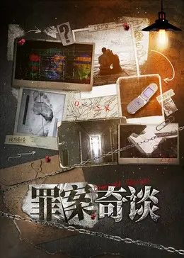 《罪案奇谈》全集高清完整版在线观看与剧情解析