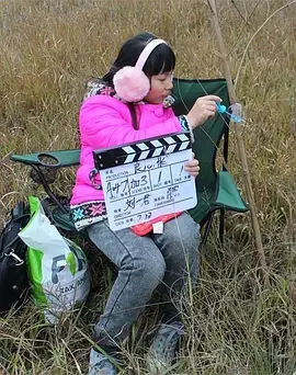 《老吴的账单》全集高清完整版在线观看与剧情解析