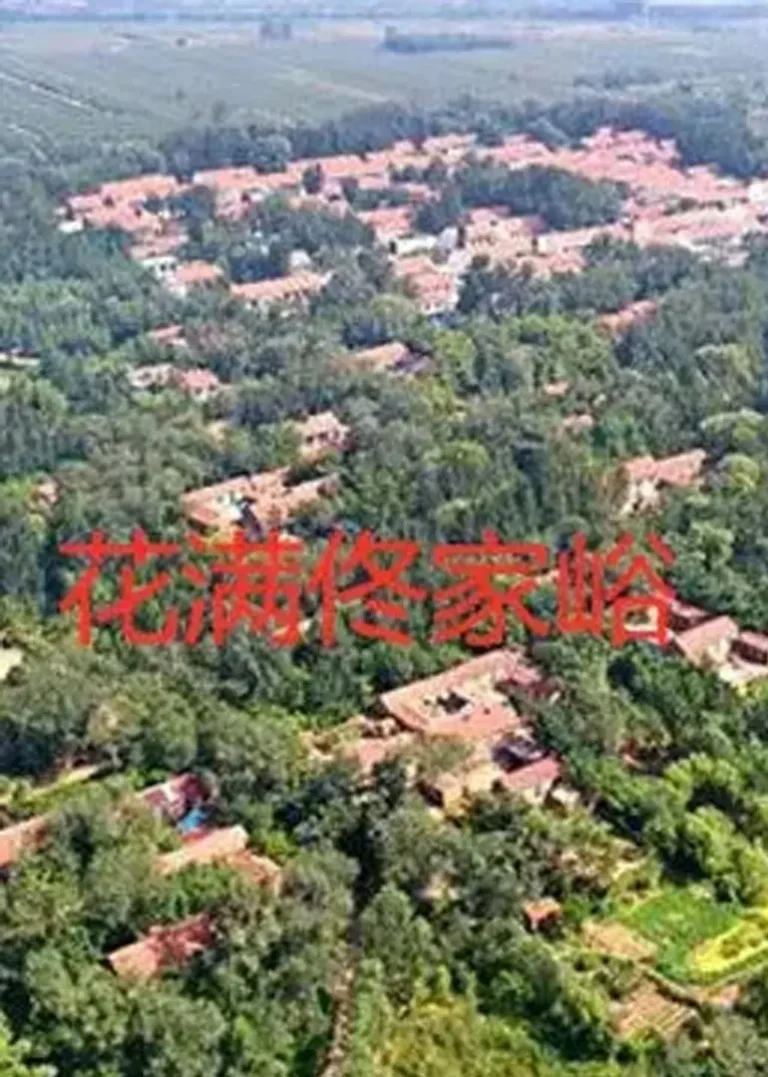 《花满佟家峪》全集高清完整版在线观看与剧情解析