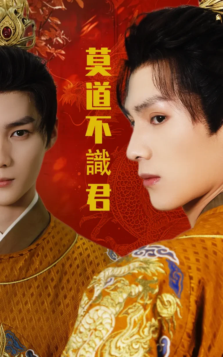 《莫道不识君》全集高清完整版在线观看与剧情解析