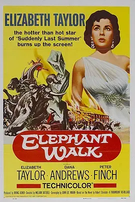 《象宫鸳劫》全集高清完整版在线观看与剧情解析