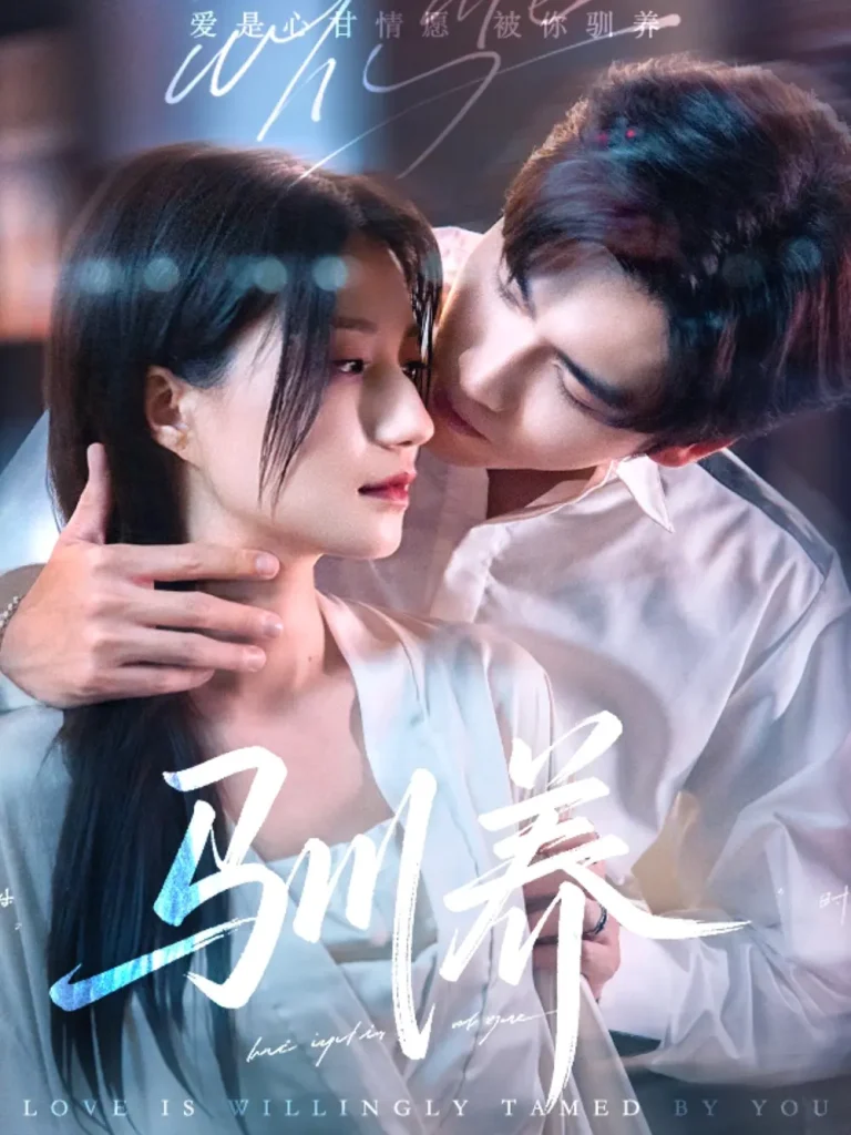 《退让的边界》全集高清完整版在线观看与剧情解析