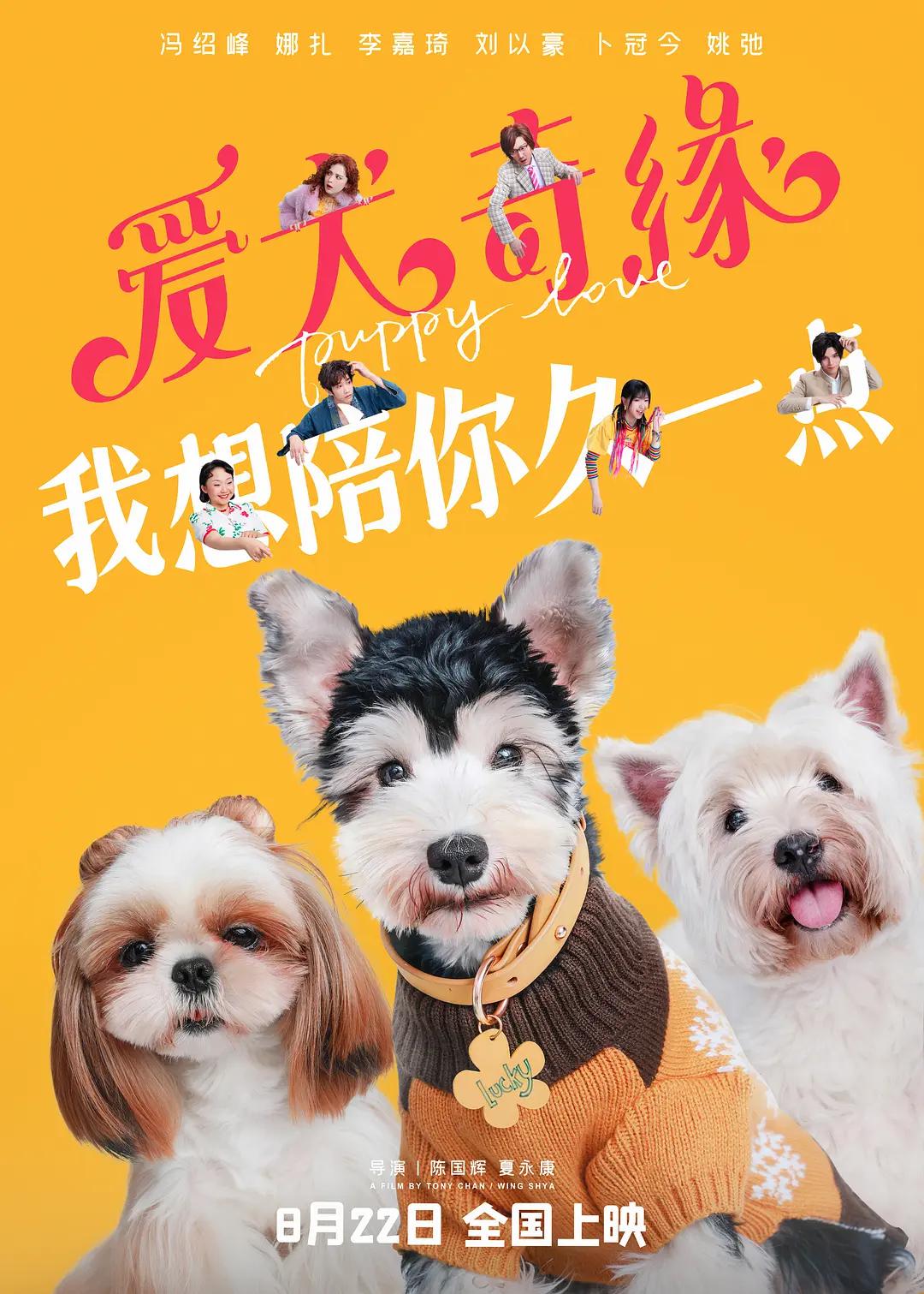 医院院长与护士越界关系电影(🤵)
