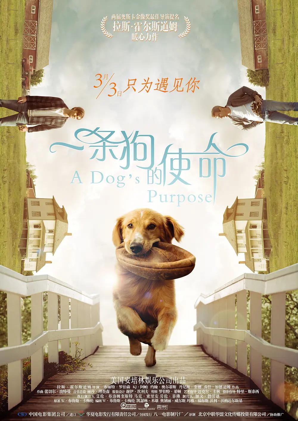 差差答答视频(🏔)