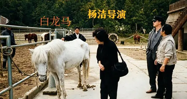 1995年杨洁导演无锡探望《西游记》白龙马罕见留影曝光 | 资讯配图