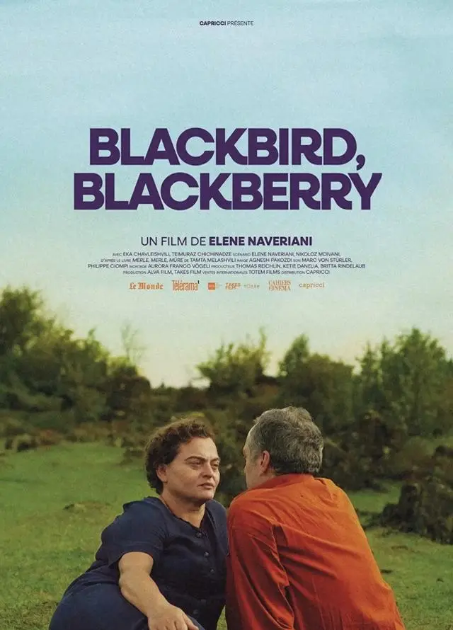 《黑鸟》《野兽家族》《亢奋》特别篇三部高分美剧集中推荐 | 资讯配图