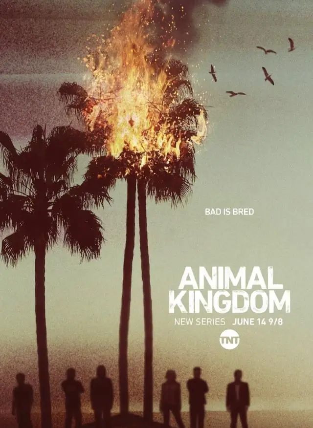 《黑鸟》《野兽家族》《亢奋》特别篇三部高分美剧集中推荐 | 现场图