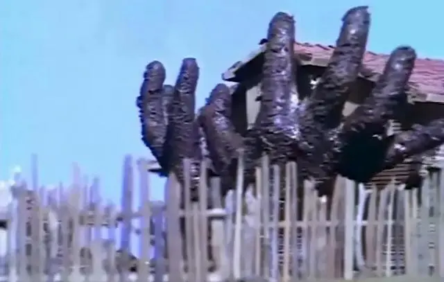 土耳其影星冈戈·贝拉克：从科尼亚弃婴到金鸡奖影后与大学博士 | 相关图片