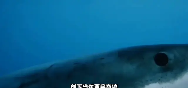 《大白鲨》内地首次公映，1975年影史经典登陆院线 | 现场图