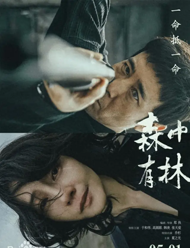 郑执导演处女作《森中有林》定档2026年暑期 | 资讯配图